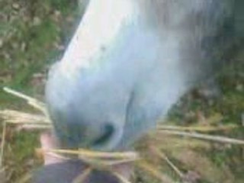 Sanson_3