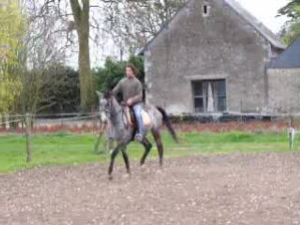 Premier essai avec Fifille