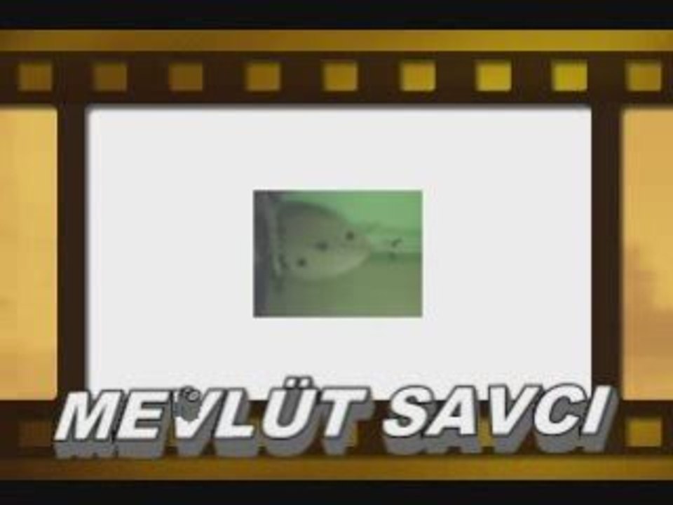 DİYAR SAZ EVİ MEVLÜT SAVCI