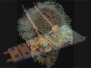 Mac sample-house imspector