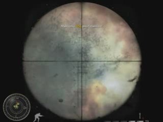 Sniper call of duty world at war
