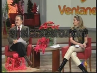 CONFIRMADO Michelle salas esta embarazada