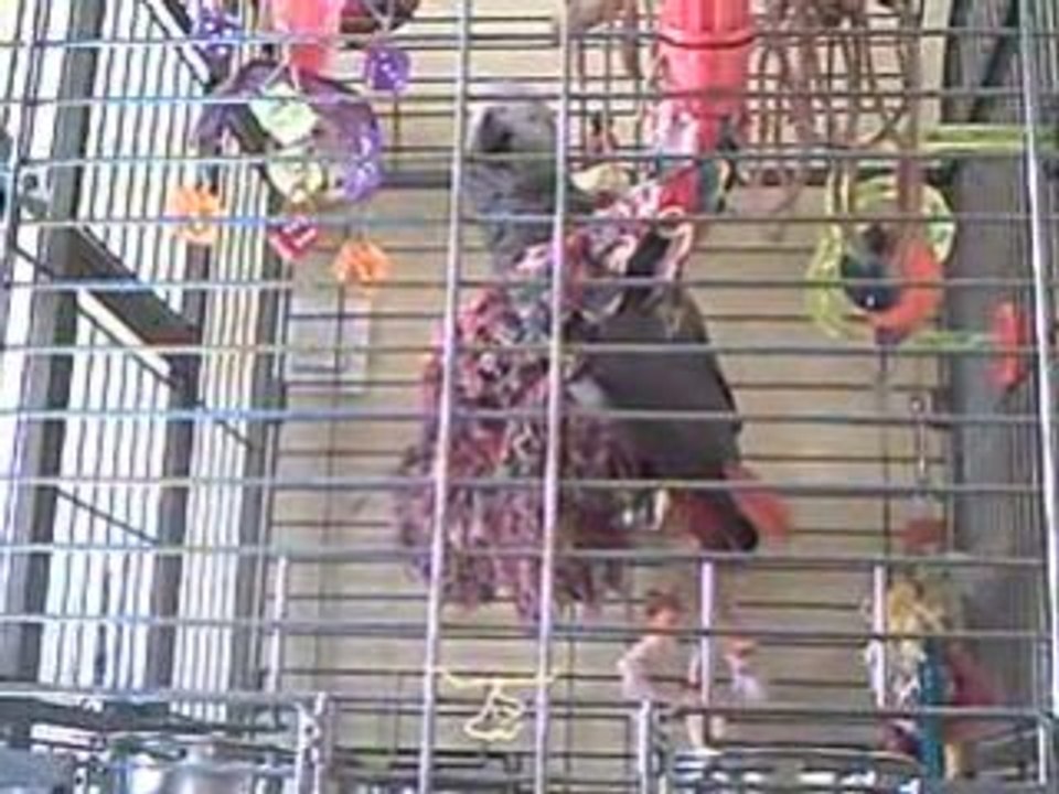 CLIP0003