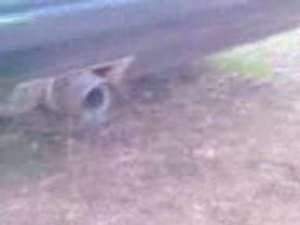 mercedes 190e  echappement "tuning"