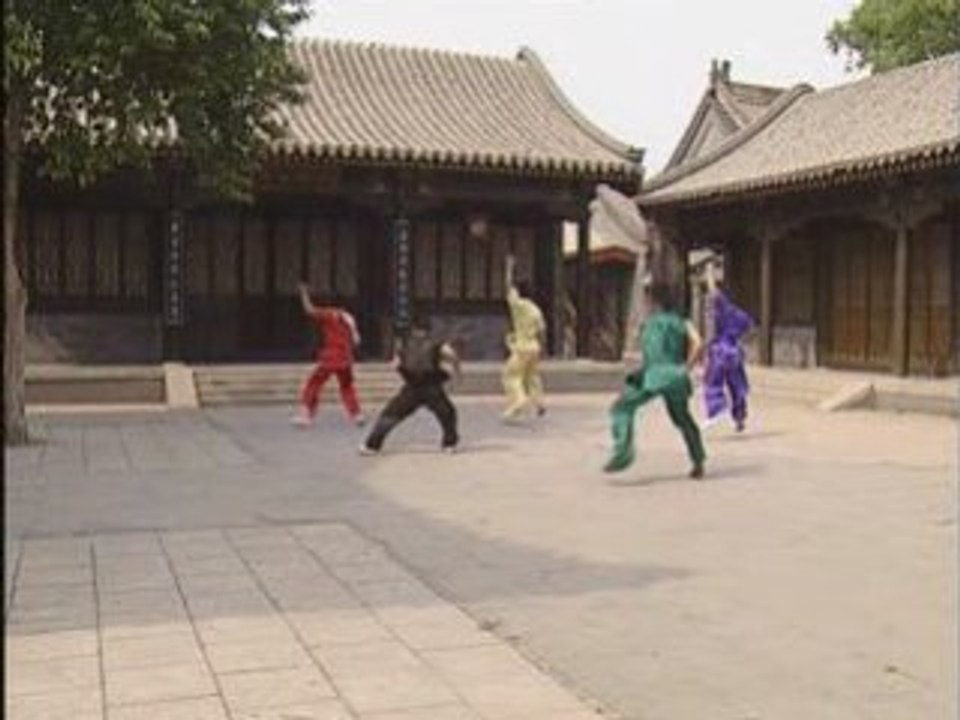 ChangQuan - Niv 3 Taolu  Wu Bin