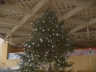 Electric Eel Powers Christmas Tree