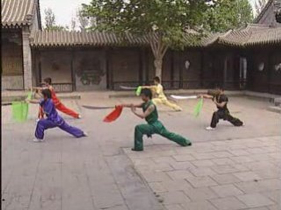 Chang Dao - Niv 3 Taolu  Wu Bin