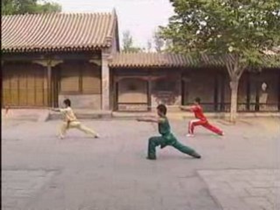 Chang Qiang - Niv 2 Taolu  Wu Bin