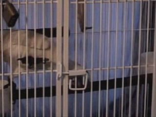 ALLAH'IN VERDİĞİ GÜZEL ZEKAYA BAKINIZ!