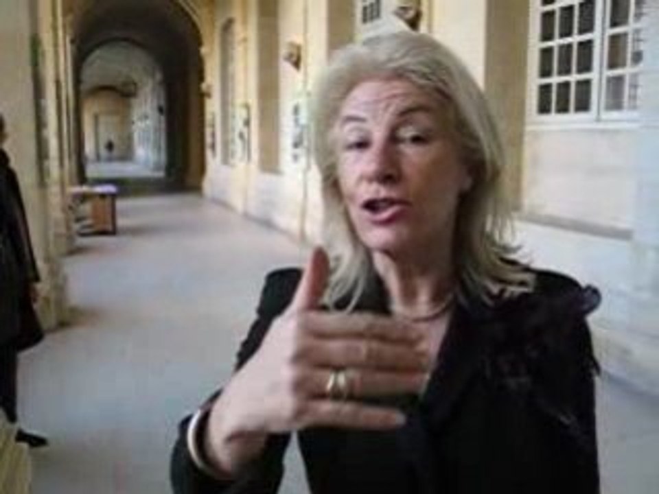 N. Ameline Budget 09