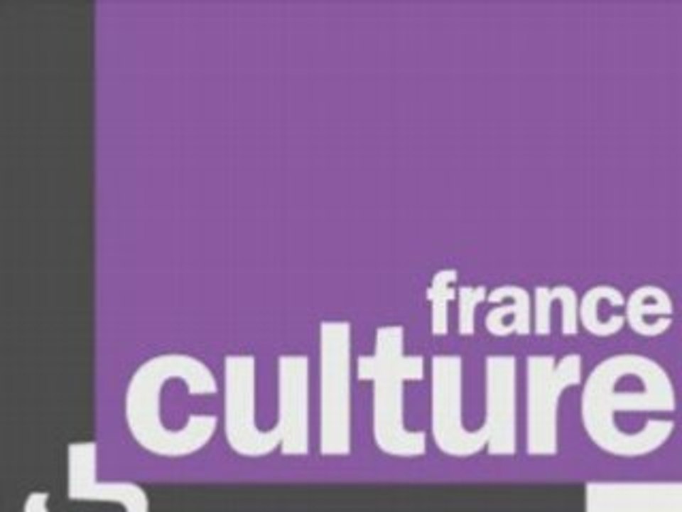 Le Plan Diversité (Caroline Fourest)