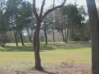 Colo Vista Bastrop Texas Real Estate Golf Course