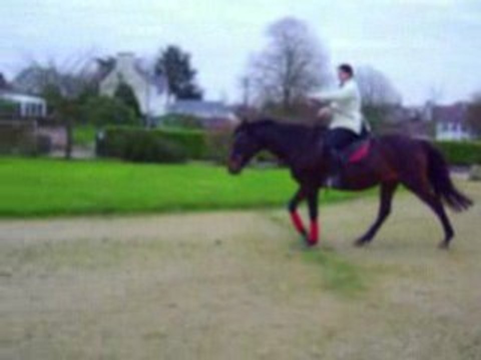 Tir à l'arc, on insiste
