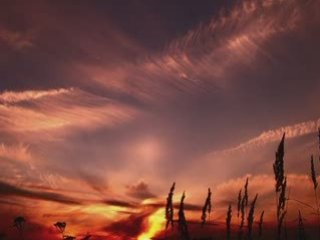 JIM DOOLEY - 'BITTERSWEET' - PhotoClip