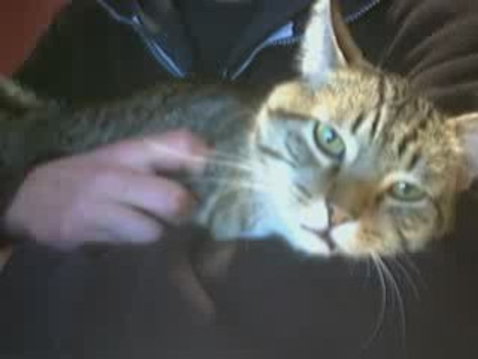 calin avec mon gamin