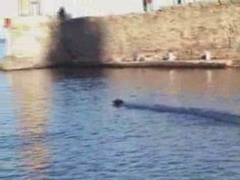 éssai vieux port avec mer calme