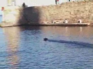 éssai vieux port avec mer calme