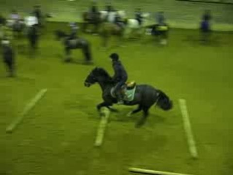 Saut G5 Hermès Mercredi 17 Décembre 2008