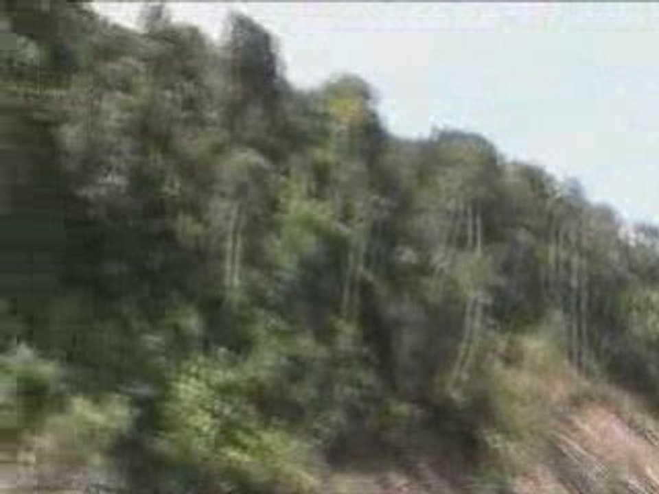 Perdu dans la jungle :p