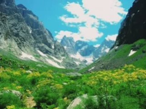 M.arif cızrawi çeto derbeder_zaptan (1)