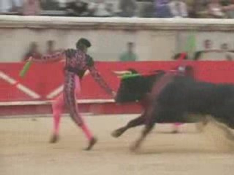 Bétisier 2008 : Les aléas des arènes !