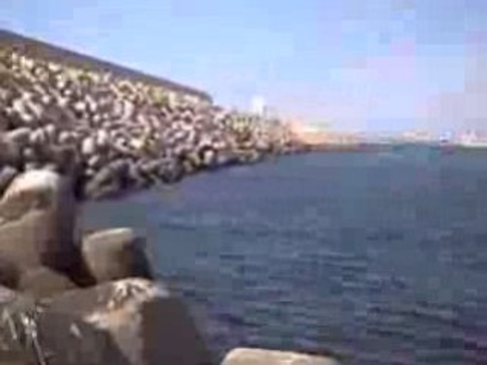La chasse sous marine a agadir4