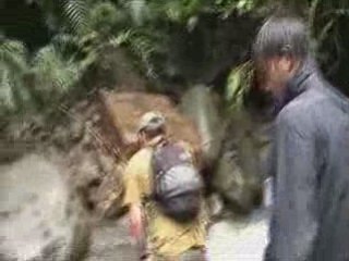 Expedition dans l'amazonie peruvienne