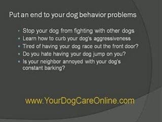 Dog Behavior Problems