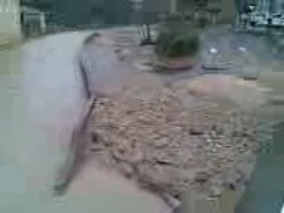 Dégâts dans le calavon // 16122008