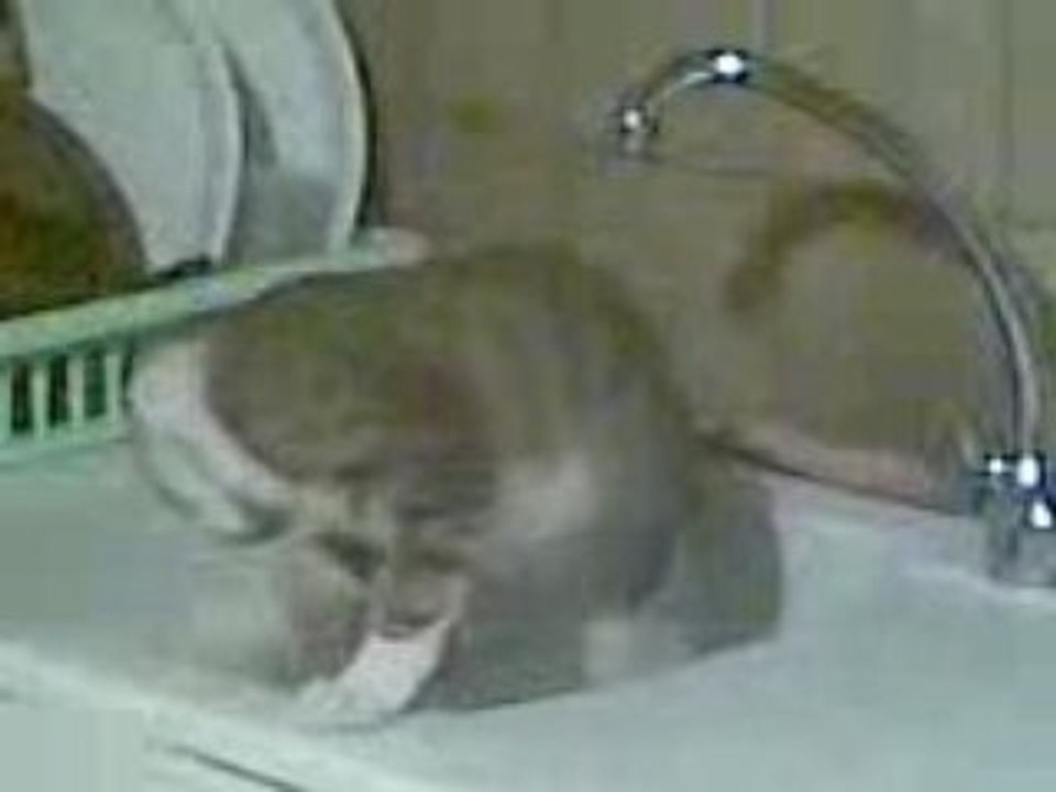 Vive l'Eau // 20122008