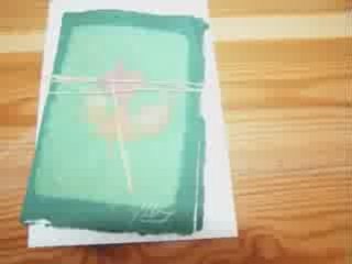 Catherine follain peintre malgres elle