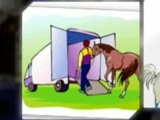 Gifts For Horse People