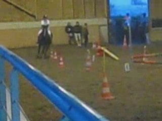 Concouurs Equifun Anso Et Lady