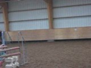 Pink,, Jument Essayé Par Fabien Le 12 Décembre 2oo8