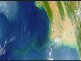 gastrointestinal feat nimphphlown (phreestyle production)