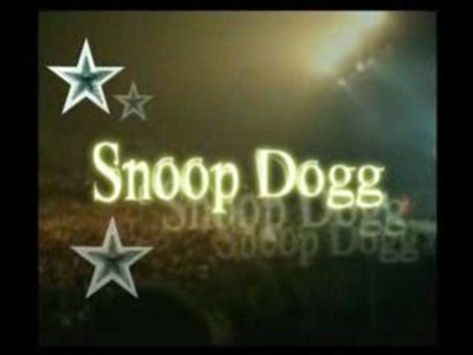 RESUME CONCERT SNOOP DOGG Bercy 17-02-05 part 1-2