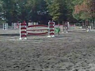 , rimski , oracle et moi 041