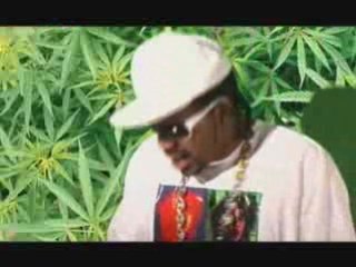 Lil Flip "Pass Da Swisha" (Underground Music Video)