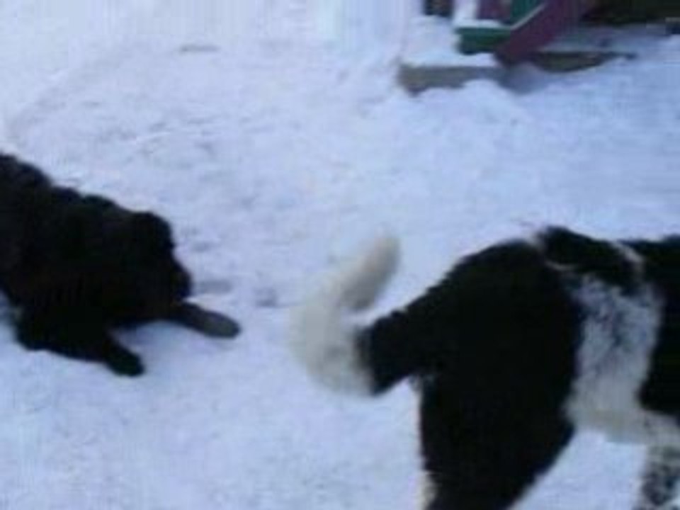 20-12-08-VID