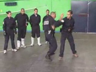 Présentation des GTPI de la Police Nationale