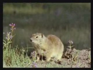 La guerre des Pâtes contre les Frites 02