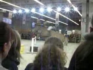 SAlon du cheval 2008