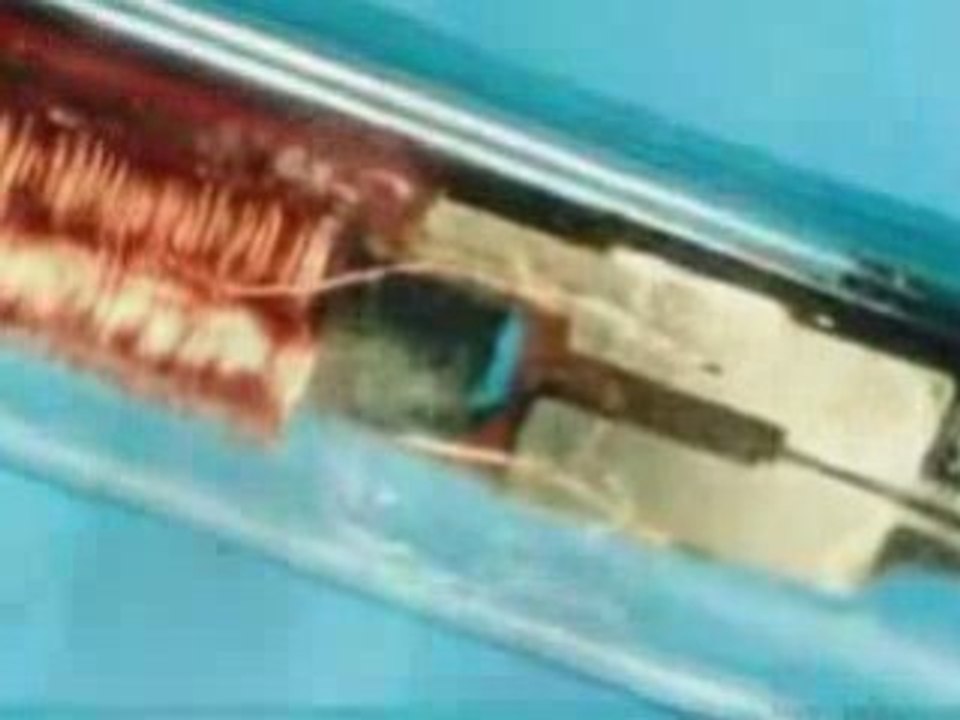 La puce marque de la bete  illuminatis_(esclaves)