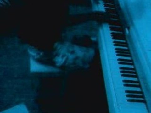 buterfly and hurican