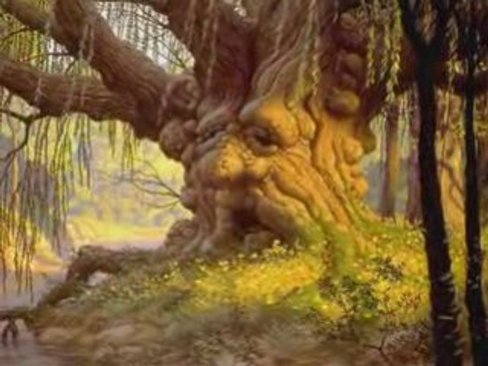 L'arbre et l'enfant