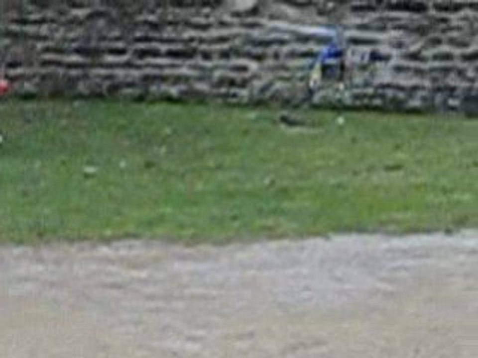 Compy Sans kit bouboules 1