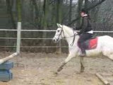 Cours Galop 5 samedi 20/12/08