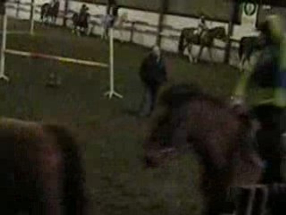 Reprise, trot enlevé sans étriers