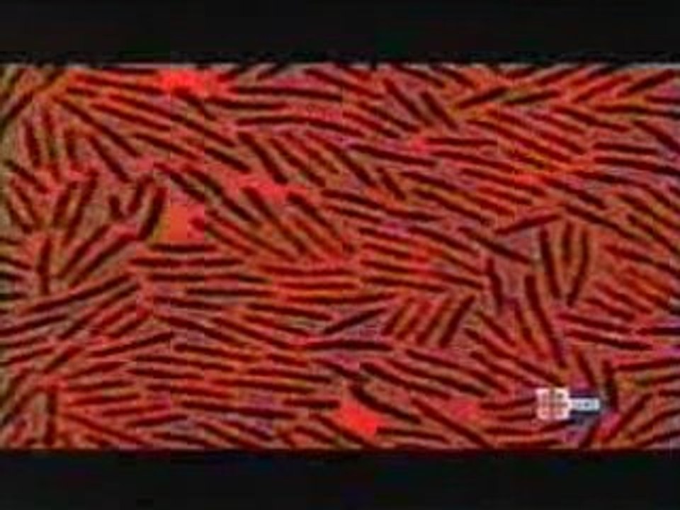 Guerre biologique 3/3