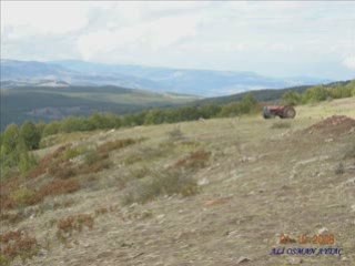 TOKAT ALMUS OĞULBEYKÖYÜ (2.Bölüm)